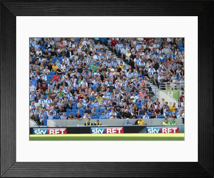 Framed Print : Brighton & Hove Albion vs Millwall: Home Game - August 31, 2013 Framed Print : Brighton & Hove Albion vs Millwall: Home Game - August 31, 2013
