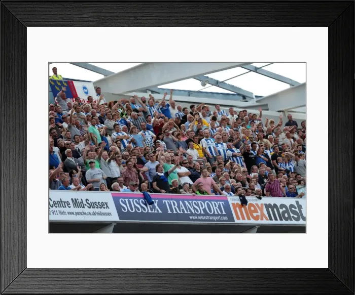 Framed Print : Brighton And Hove Albion Season 2013-14: 2013-14 Home Games: Millwall - 31-08-2013 Framed Print : Brighton And Hove Albion Season 2013-14: 2013-14 Home Games: Millwall - 31-08-2013