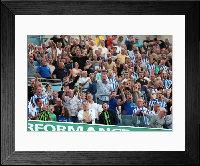 Framed Print : Brighton & Hove Albion vs. Millwall: Home Game - August 31, 2013 Framed Print : Brighton & Hove Albion vs. Millwall: Home Game - August 31, 2013