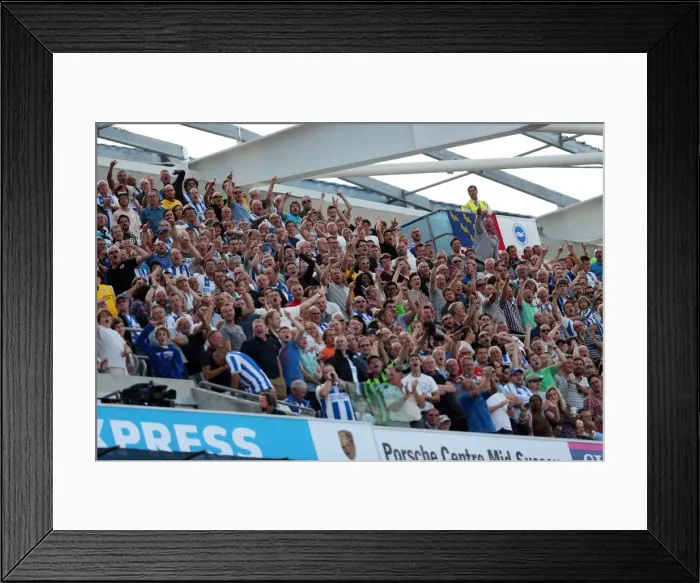 Framed Print : Brighton & Hove Albion vs Millwall: Home Game - August 31, 2013 Framed Print : Brighton & Hove Albion vs Millwall: Home Game - August 31, 2013