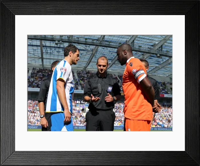 Framed Print : Brighton & Hove Albion vs Millwall: Home Game - August 31, 2013 Framed Print : Brighton & Hove Albion vs Millwall: Home Game - August 31, 2013