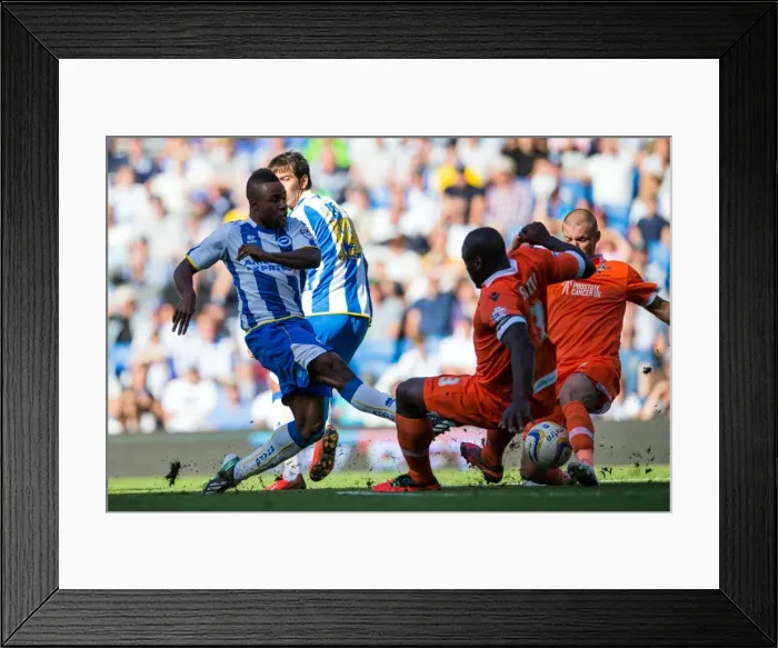 Framed Print : Brighton & Hove Albion vs. Millwall: Home Game - August 31, 2013 Framed Print : Brighton & Hove Albion vs. Millwall: Home Game - August 31, 2013