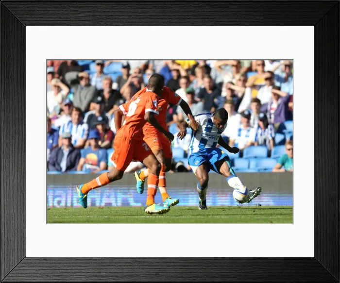 Framed Print : Brighton & Hove Albion vs Millwall: 2013-14 Home Opener Framed Print : Brighton & Hove Albion vs Millwall: 2013-14 Home Opener