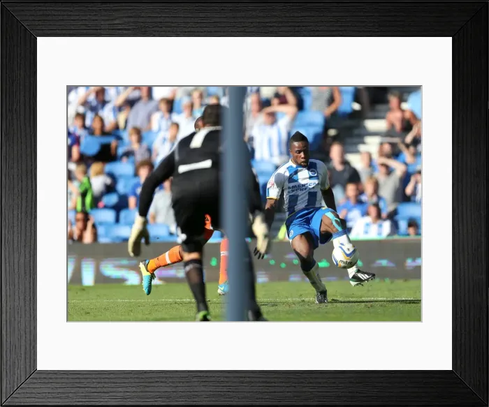Framed Print : Brighton & Hove Albion vs Millwall: Home Game - August 31, 2013 Framed Print : Brighton & Hove Albion vs Millwall: Home Game - August 31, 2013