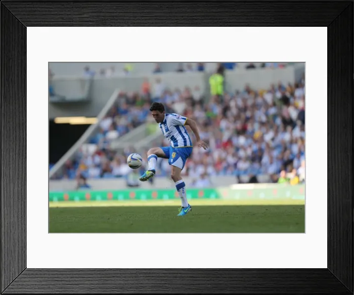 Framed Print : Brighton & Hove Albion vs. Millwall: Home Game - August 31, 2013 Framed Print : Brighton & Hove Albion vs. Millwall: Home Game - August 31, 2013