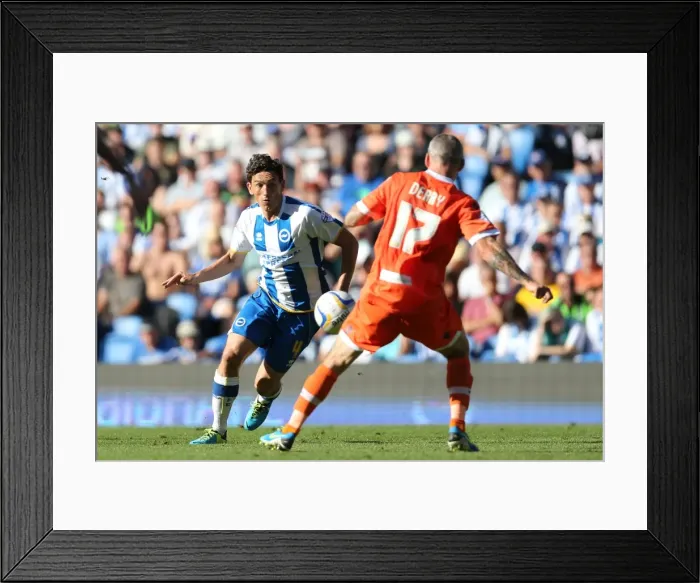 Framed Print : Brighton & Hove Albion vs. Millwall: Home Game - August 31, 2013 Framed Print : Brighton & Hove Albion vs. Millwall: Home Game - August 31, 2013