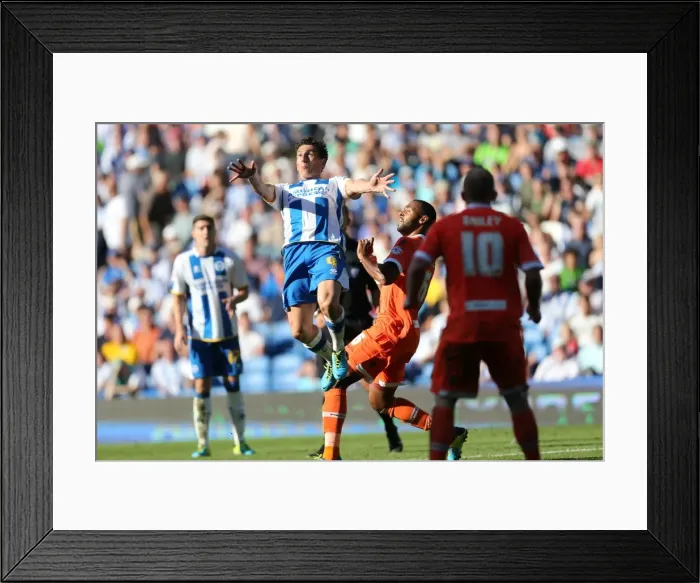 Framed Print : Brighton & Hove Albion 2013-14: Home Game vs. Millwall (31-08-2013)