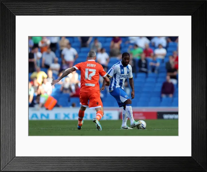 Framed Print : Brighton & Hove Albion vs Millwall: Home Game - August 31, 2013 Framed Print : Brighton & Hove Albion vs Millwall: Home Game - August 31, 2013