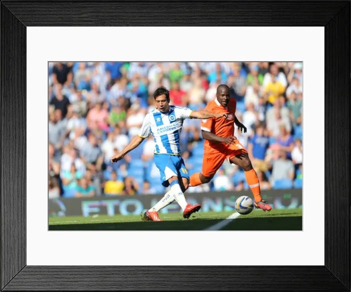 Framed Print : Brighton & Hove Albion vs. Millwall: Home Game - August 31, 2013 Framed Print : Brighton & Hove Albion vs. Millwall: Home Game - August 31, 2013