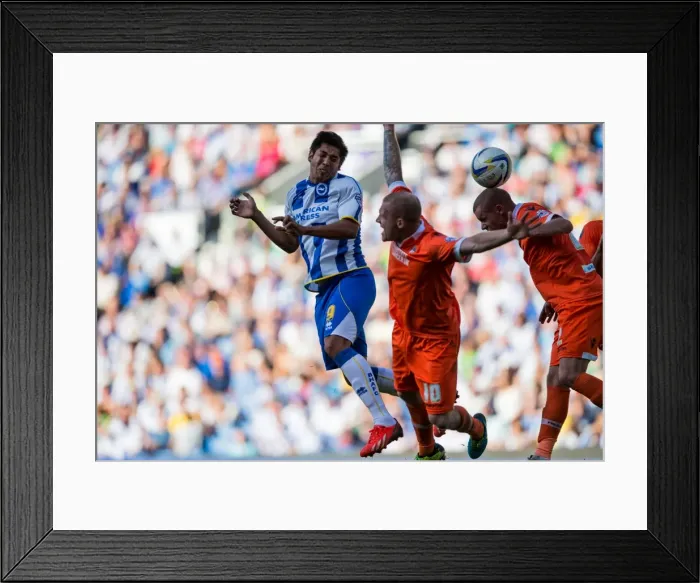 Framed Print : Brighton & Hove Albion vs. Millwall: Home Game - August 31, 2013