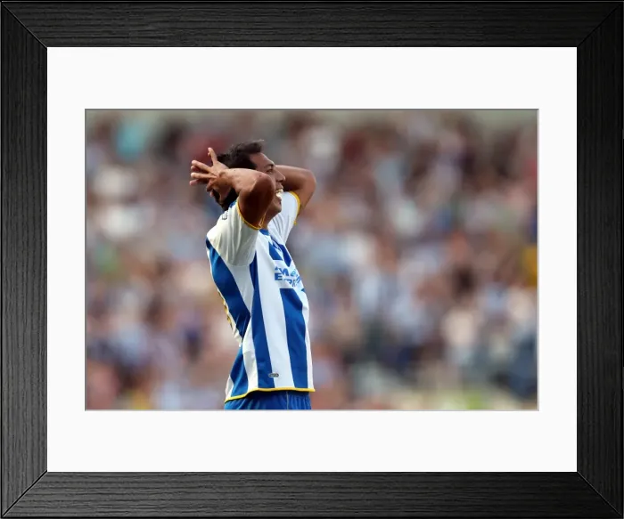Framed Print : Brighton & Hove Albion vs. Millwall: Home Game - August 31, 2013