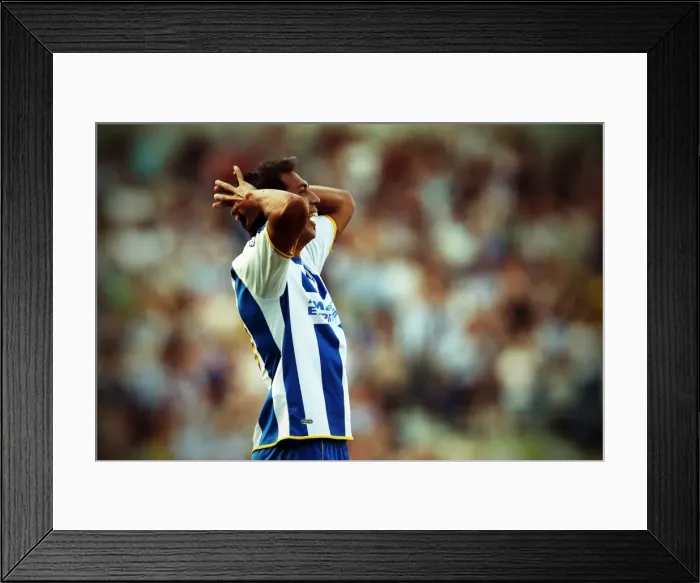 Framed Print : Brighton & Hove Albion vs Millwall: 2013-14 Home Opener