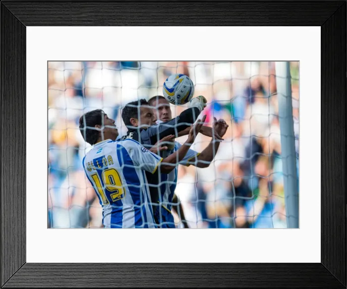 Framed Print : Brighton & Hove Albion vs Millwall: Home Game - August 31, 2013 Framed Print : Brighton & Hove Albion vs Millwall: Home Game - August 31, 2013