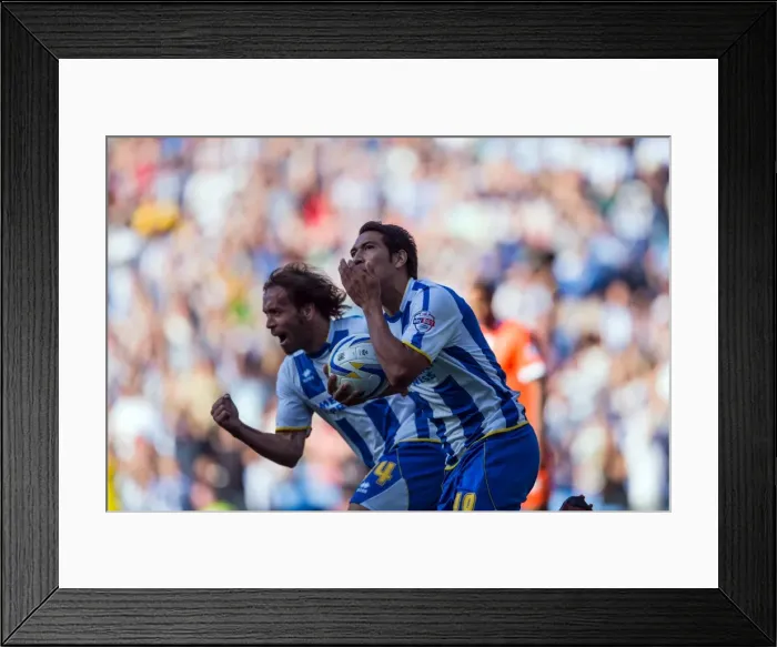 Framed Print : Brighton & Hove Albion vs. Millwall: Home Game - August 31, 2013