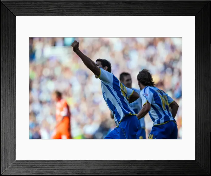 Framed Print : Brighton & Hove Albion vs. Millwall: Home Game - August 31, 2013