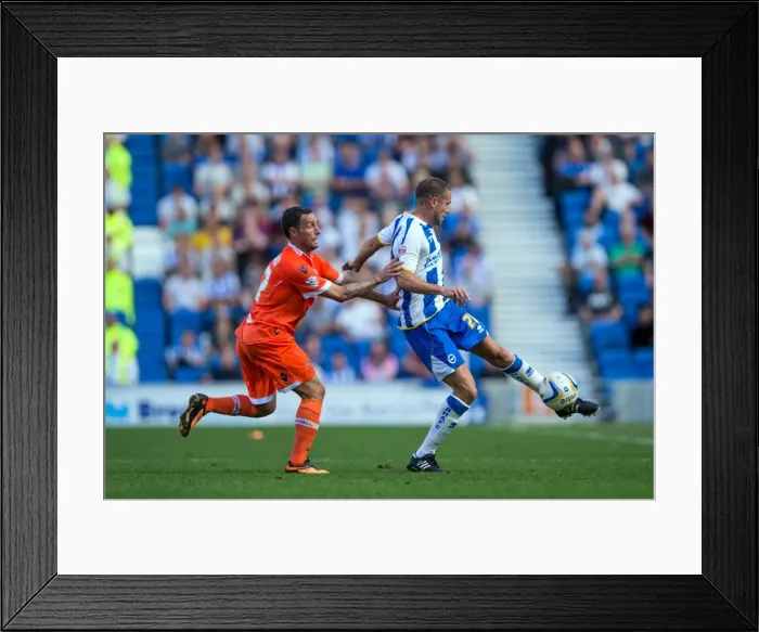 Framed Print : Brighton & Hove Albion vs. Millwall: Home Game - August 31, 2013 Framed Print : Brighton & Hove Albion vs. Millwall: Home Game - August 31, 2013