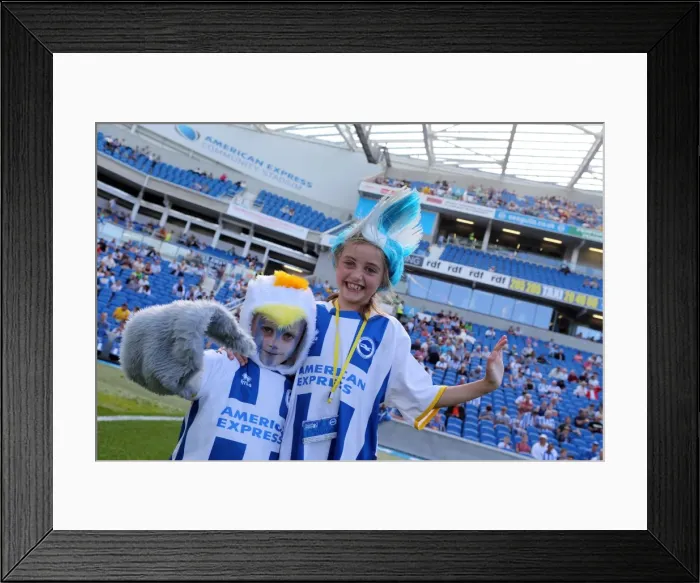 Framed Print : Brighton & Hove Albion vs. Millwall: Home Game - August 31, 2013 Framed Print : Brighton & Hove Albion vs. Millwall: Home Game - August 31, 2013