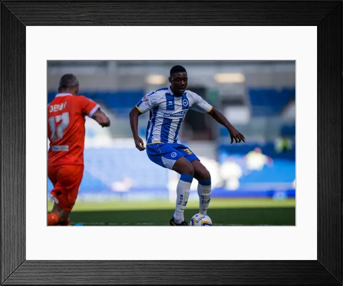 Framed Print : Brighton & Hove Albion vs. Millwall: 2013-14 Home Game - August 31