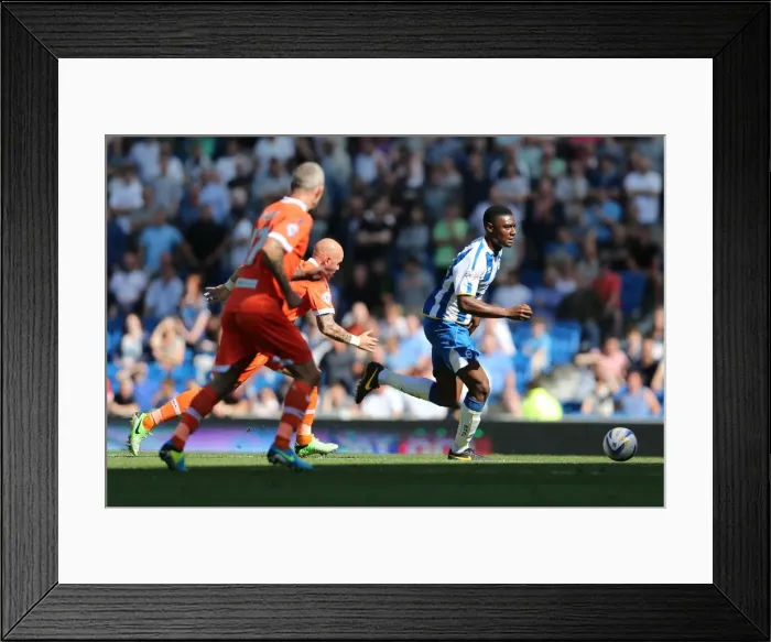 Framed Print : Brighton & Hove Albion vs Millwall: Home Game - August 31, 2013 Framed Print : Brighton & Hove Albion vs Millwall: Home Game - August 31, 2013