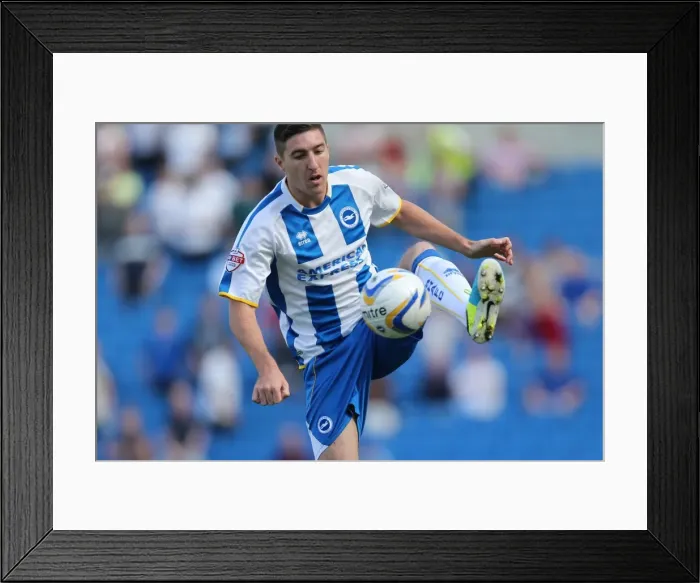 Framed Print : Brighton & Hove Albion vs Millwall: 2013-14 Home Season - August 31st, 2013 Framed Print : Brighton & Hove Albion vs Millwall: 2013-14 Home Season - August 31st, 2013