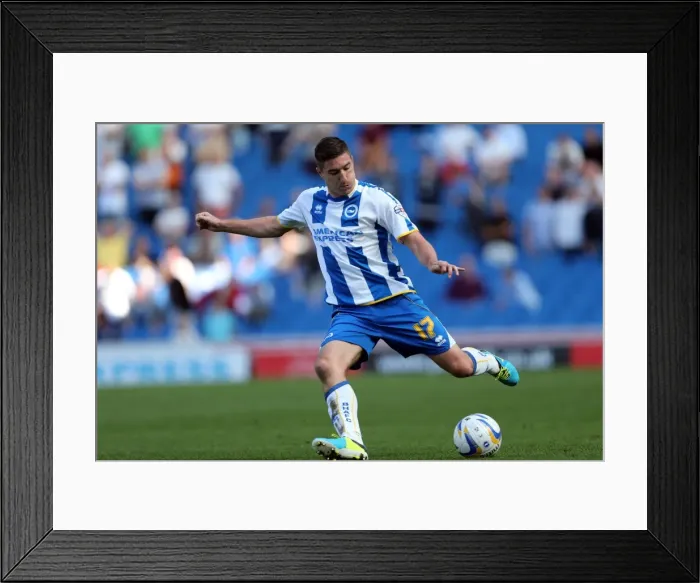 Framed Print : Brighton & Hove Albion vs Millwall: Home Game - August 31, 2013 Framed Print : Brighton & Hove Albion vs Millwall: Home Game - August 31, 2013