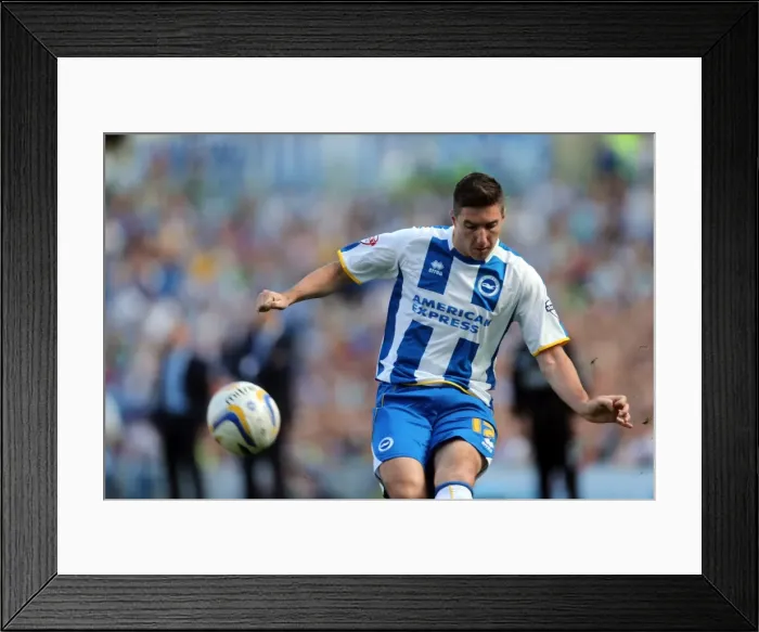 Framed Print : Brighton & Hove Albion vs. Millwall: Home Game - August 31, 2013 Framed Print : Brighton & Hove Albion vs. Millwall: Home Game - August 31, 2013