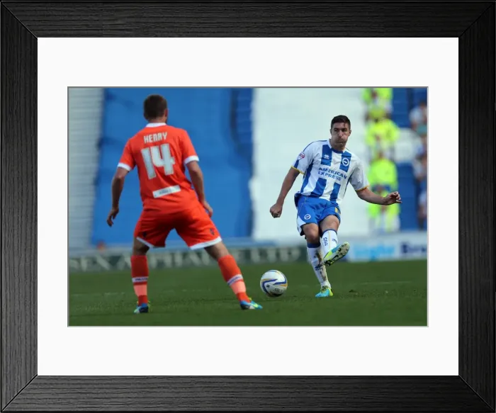 Framed Print : Brighton & Hove Albion vs. Millwall: Home Game - August 31, 2013 Framed Print : Brighton & Hove Albion vs. Millwall: Home Game - August 31, 2013
