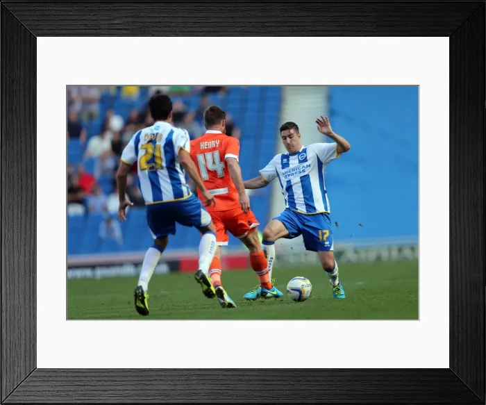 Framed Print : Brighton & Hove Albion vs. Millwall: 2013-14 Home Game Framed Print : Brighton & Hove Albion vs. Millwall: 2013-14 Home Game