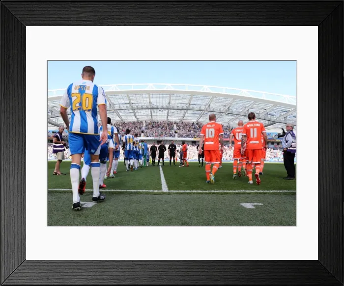 Framed Print : Brighton & Hove Albion vs. Millwall: Home Game - August 31, 2013