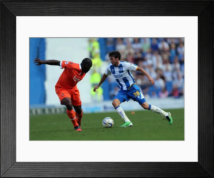 Framed Print : Brighton & Hove Albion vs. Millwall: Home Game - August 31, 2013 Framed Print : Brighton & Hove Albion vs. Millwall: Home Game - August 31, 2013