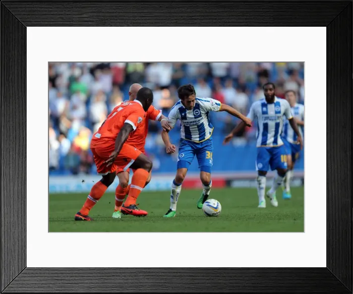 Framed Print : Brighton & Hove Albion vs Millwall: Home Game - August 31, 2013 Framed Print : Brighton & Hove Albion vs Millwall: Home Game - August 31, 2013
