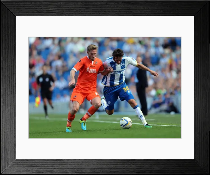 Framed Print : Brighton & Hove Albion vs. Millwall: Home Game - August 31, 2013 Framed Print : Brighton & Hove Albion vs. Millwall: Home Game - August 31, 2013