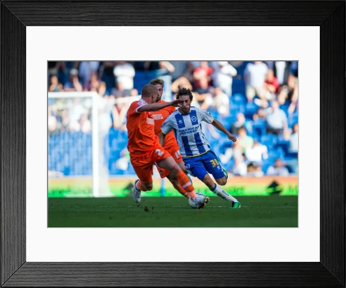 Framed Print : Brighton & Hove Albion vs Millwall: 2013-14 Home Opener Framed Print : Brighton & Hove Albion vs Millwall: 2013-14 Home Opener