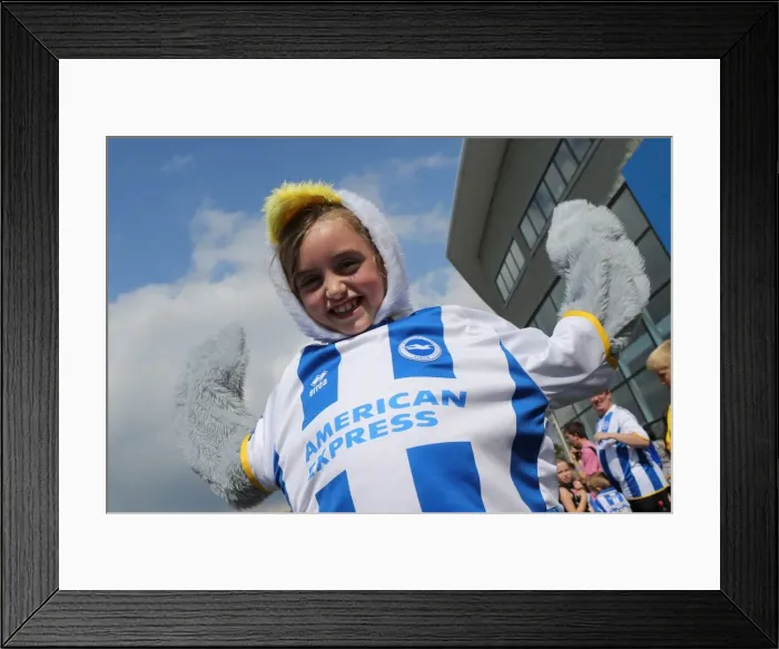 Framed Print : Unforgettable Fan Interaction: Brighton & Hove Albion FC Club Shop Signing Event, September 2013 Framed Print : Unforgettable Fan Interaction: Brighton & Hove Albion FC Club Shop Signing Event, September 2013