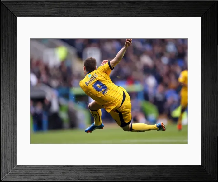 Framed Print : Brighton & Hove Albion vs. Reading: 2013-14 Season Away Game