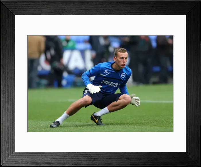 Framed Print : Brighton & Hove Albion vs. Reading (Away) - 15-09-2013: Away Game Highlights, 2013-14 Season Framed Print : Brighton & Hove Albion vs. Reading (Away) - 15-09-2013: Away Game Highlights, 2013-14 Season