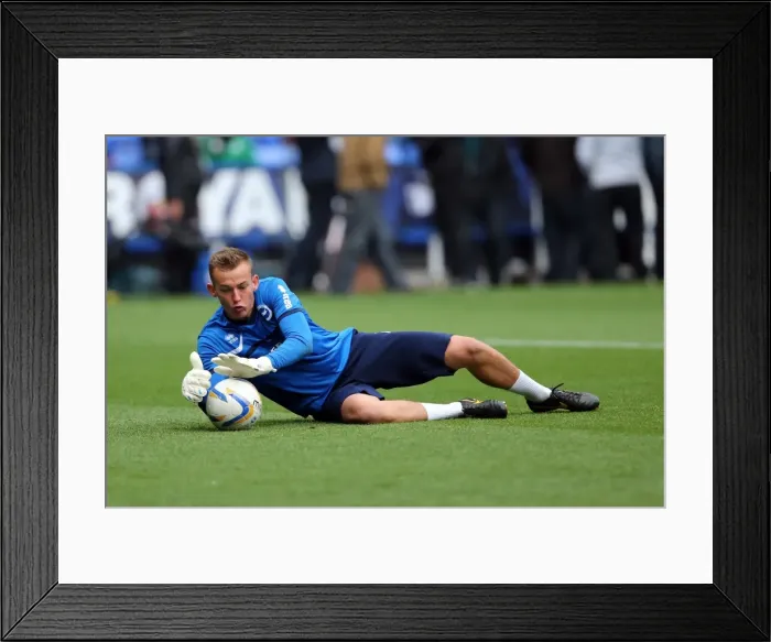 Framed Print : Brighton & Hove Albion vs. Reading (Away) - 15-09-2013: 2013-14 Season Framed Print : Brighton & Hove Albion vs. Reading (Away) - 15-09-2013: 2013-14 Season