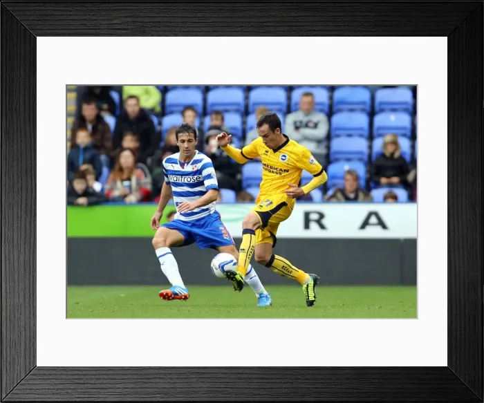 Framed Print : Brighton & Hove Albion vs. Reading (Away) - 15-09-2013: 2013-14 Season Framed Print : Brighton & Hove Albion vs. Reading (Away) - 15-09-2013: 2013-14 Season