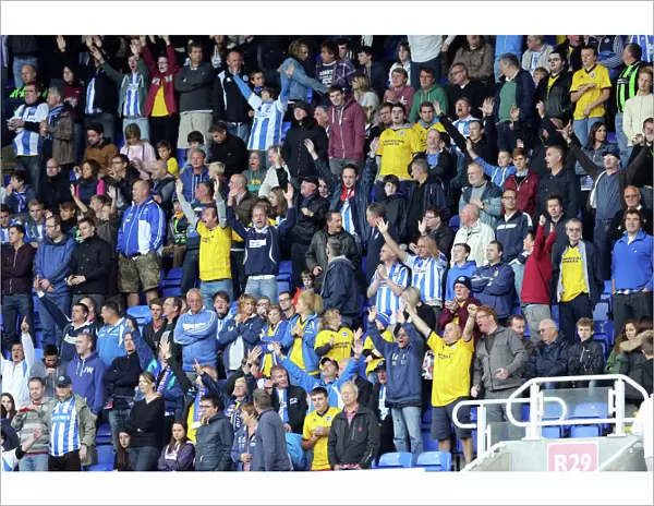 Brighton & Hove Albion vs. Reading (Away): 15-09-2013 - 2013-14 Season