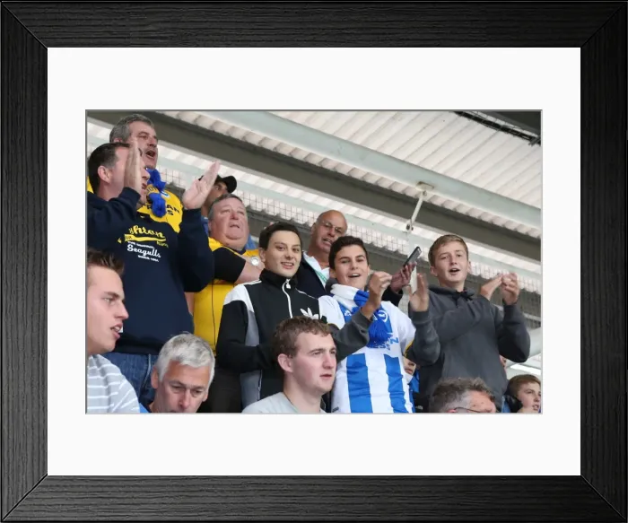 Framed Print : Brighton & Hove Albion vs. Reading (Away Game - September 15, 2013)