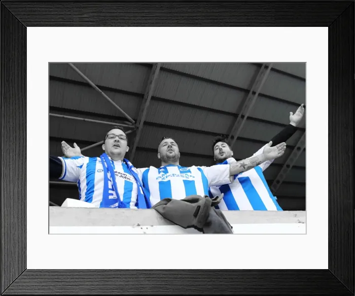 Framed Print : Brighton & Hove Albion vs. Reading (Away) - September 15, 2013: 2013-14 Season - Reading Game
