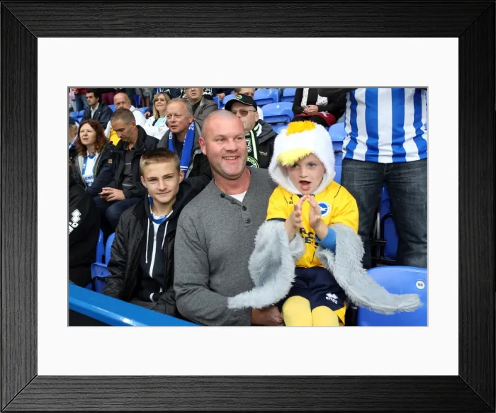 Framed Print : Brighton & Hove Albion vs. Reading (Away) - 15-09-2013: 2013-14 Season Framed Print : Brighton & Hove Albion vs. Reading (Away) - 15-09-2013: 2013-14 Season