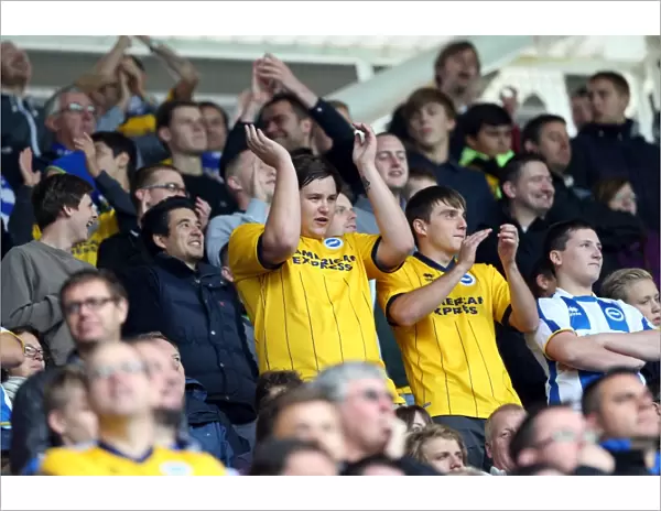 Brighton & Hove Albion vs. Reading: 2013-14 Season Away Game