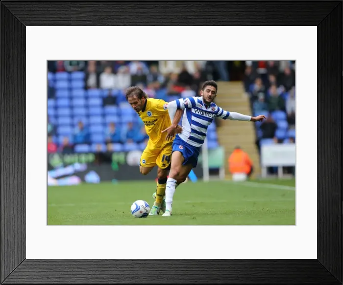 Framed Print : Brighton & Hove Albion vs. Reading (Away) - 15-09-2013: Away Game Highlights, 2013-14 Season