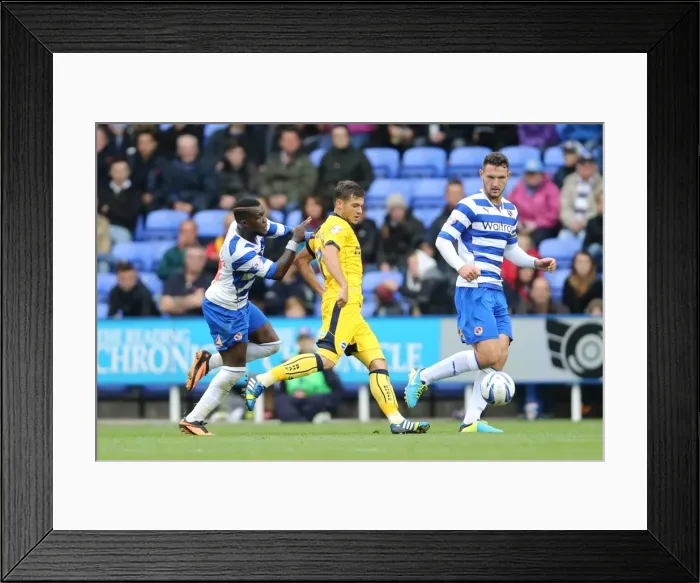 Framed Print : Brighton & Hove Albion vs. Reading (Away) - 15-09-2013: 2013-14 Season Framed Print : Brighton & Hove Albion vs. Reading (Away) - 15-09-2013: 2013-14 Season