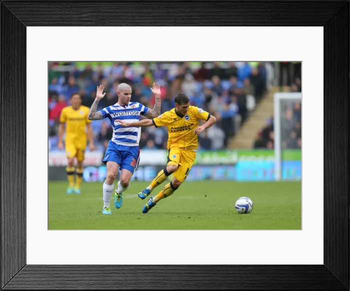 Framed Print : Brighton & Hove Albion vs. Reading (Away) - 15-09-2013: Away Game Highlights, 2013-14 Season Framed Print : Brighton & Hove Albion vs. Reading (Away) - 15-09-2013: Away Game Highlights, 2013-14 Season