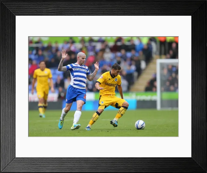 Framed Print : Brighton & Hove Albion vs. Reading (Away) - 15-09-2013: 2013-14 Season - Reading Away Game Framed Print : Brighton & Hove Albion vs. Reading (Away) - 15-09-2013: 2013-14 Season - Reading Away Game
