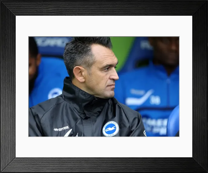 Framed Print : Brighton And Hove Albion Season 2013-14: 2013-14 Away Games: Reading - 15-09-2013 Framed Print : Brighton And Hove Albion Season 2013-14: 2013-14 Away Games: Reading - 15-09-2013