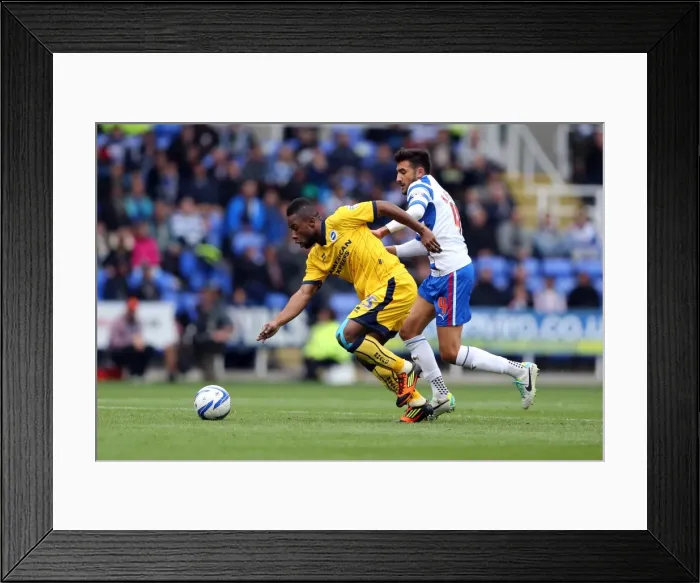 Framed Print : Brighton & Hove Albion vs. Reading: 2013-14 Season Away Game
