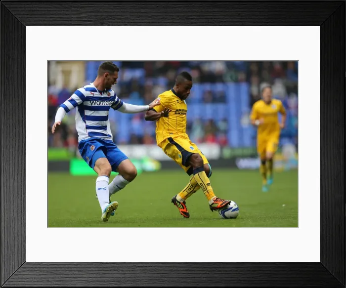 Framed Print : Brighton & Hove Albion vs. Reading: 2013-14 Season Away Game